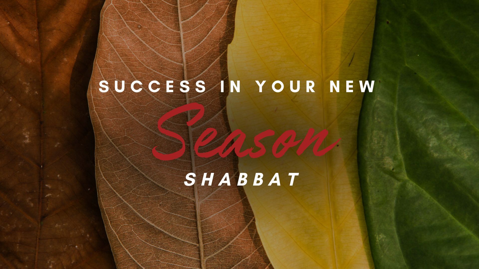 Shabbat: Success in Your New Season (12/06)
