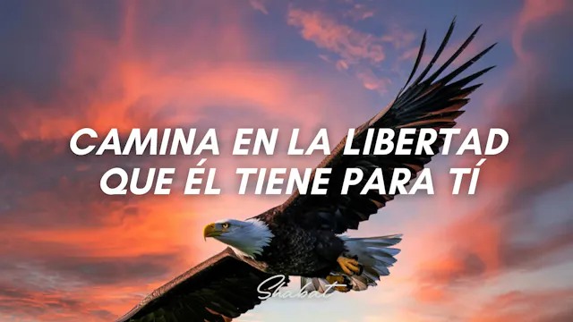 Shabbat: Camina en la Libertad que Él...