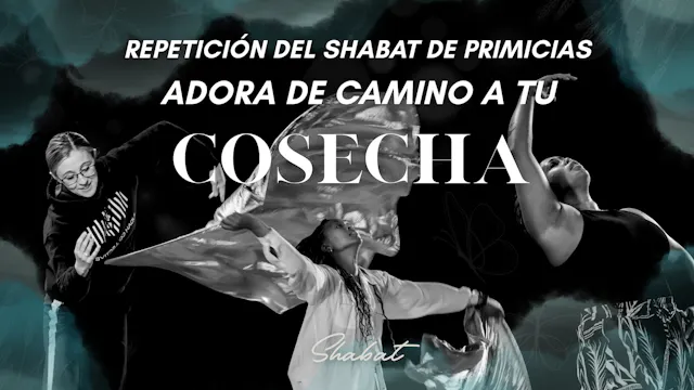 Shabbat: Adorando de Camino a Tu Cose...