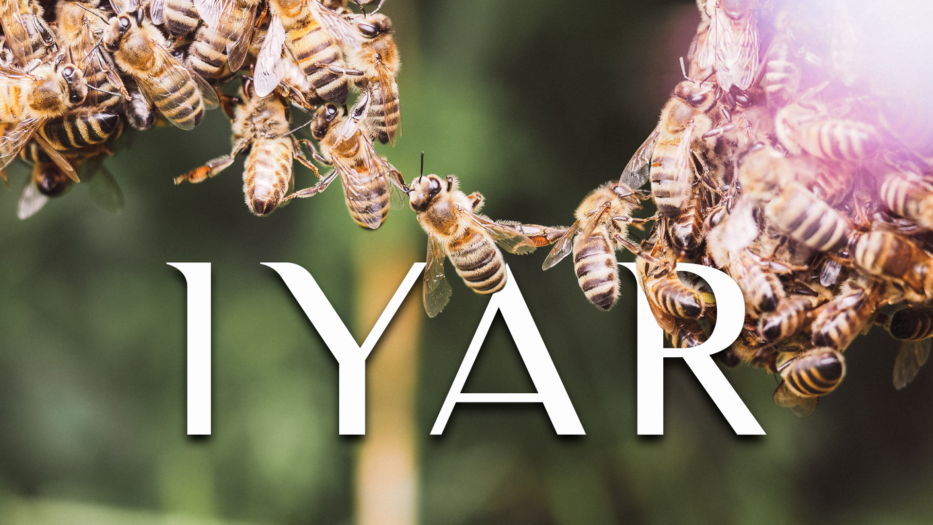 Firstfruits - Iyar 5782 - May 1st, 2022