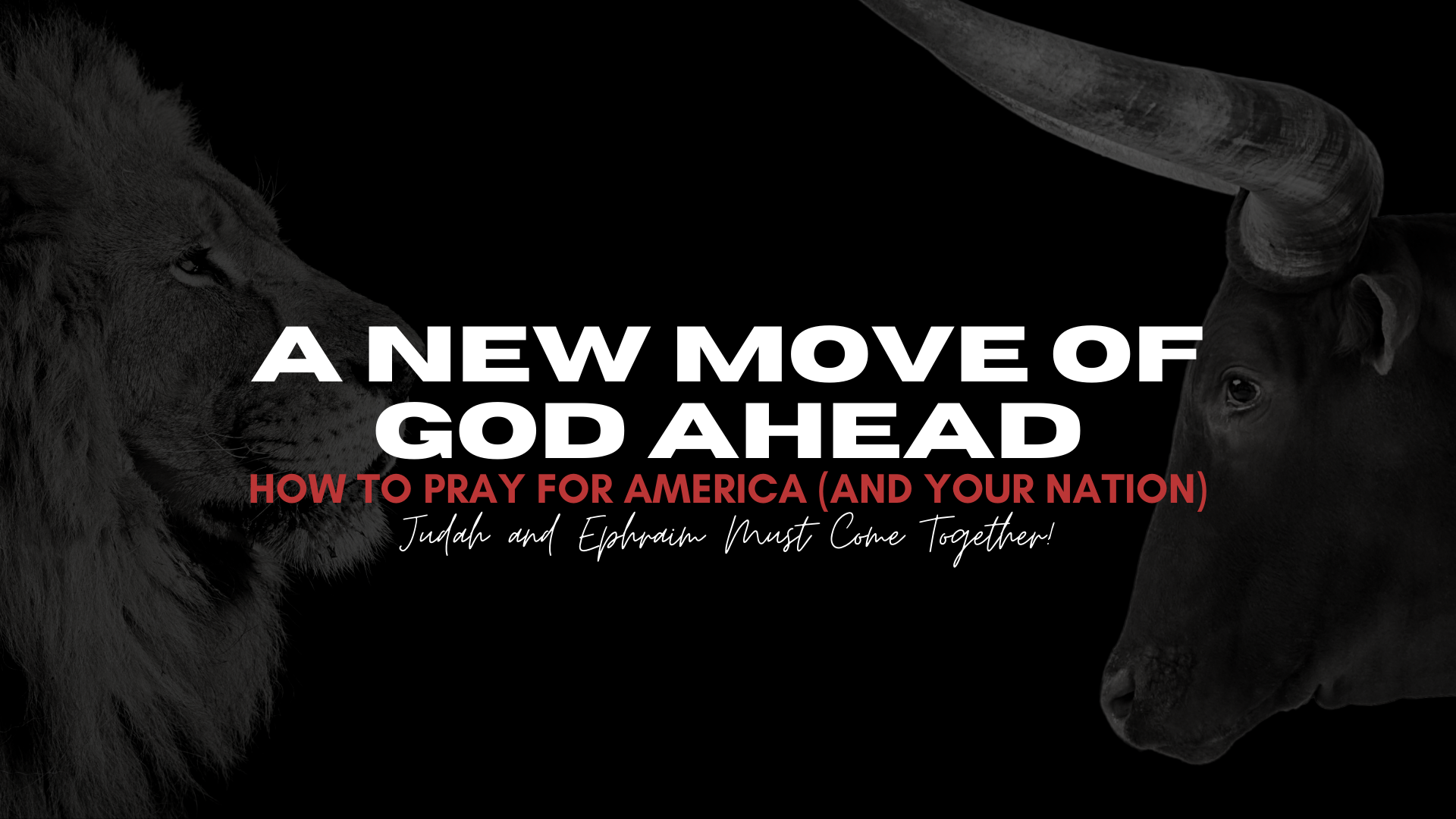 A New Move of God Ahead (10/16)