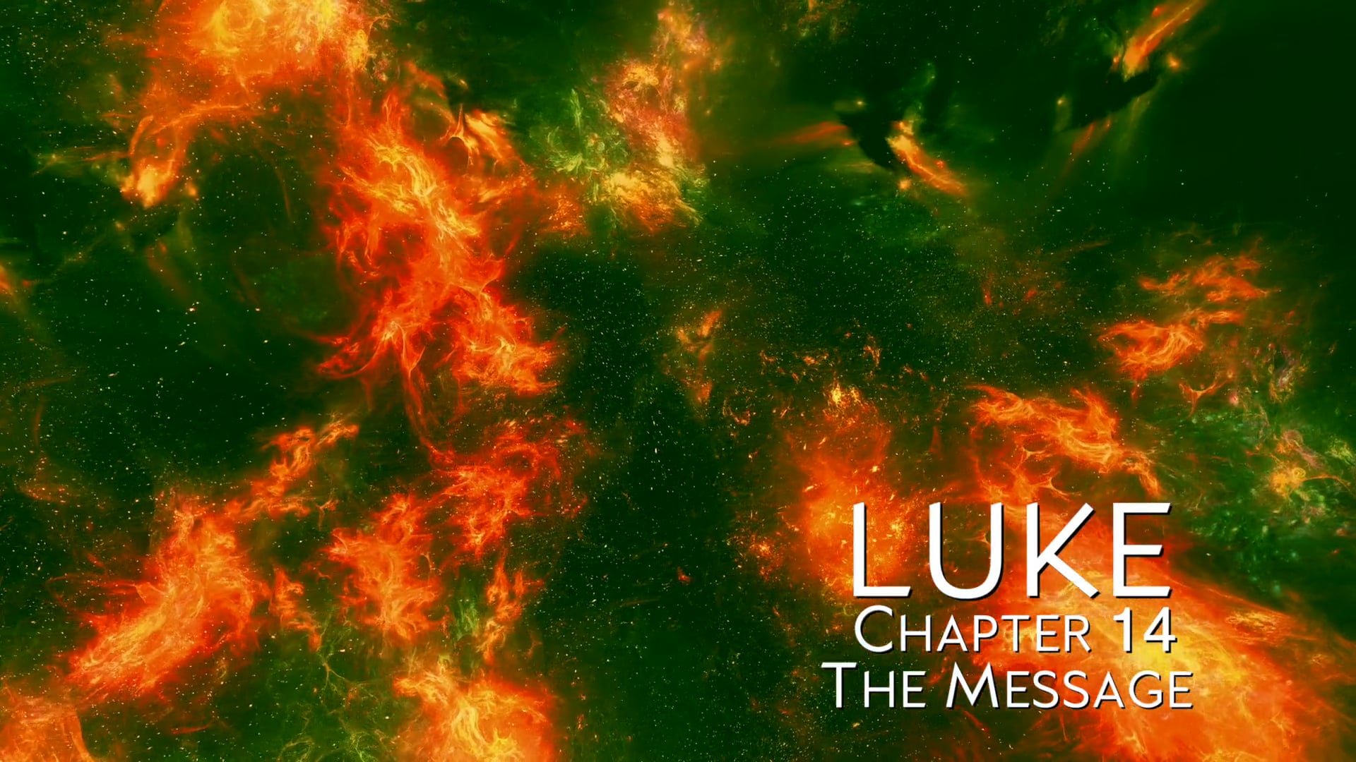 The Book of Luke - Chapter 14
