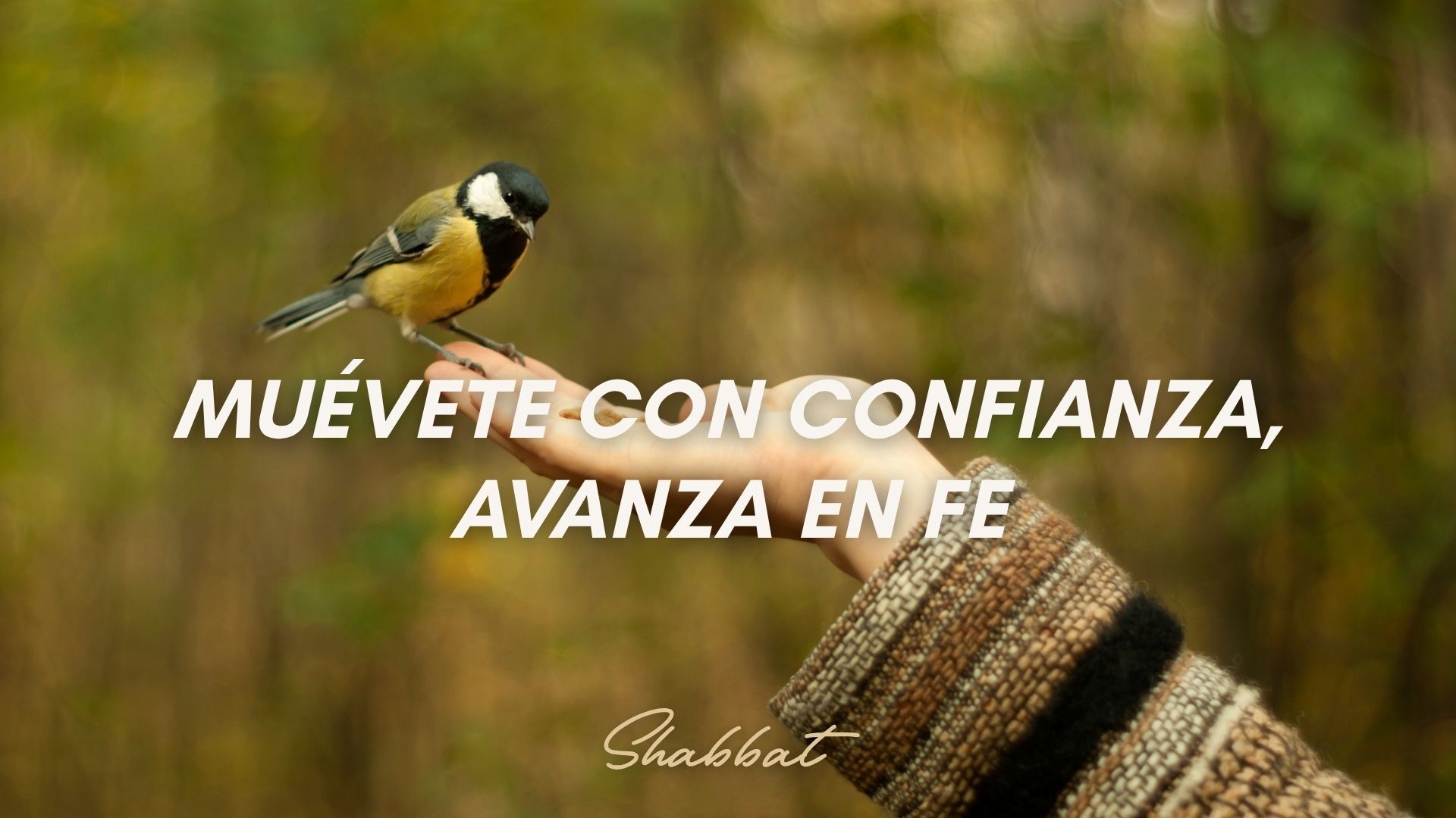Shabbat: Muévete con Confianza, Avanza en Fe (10/3)