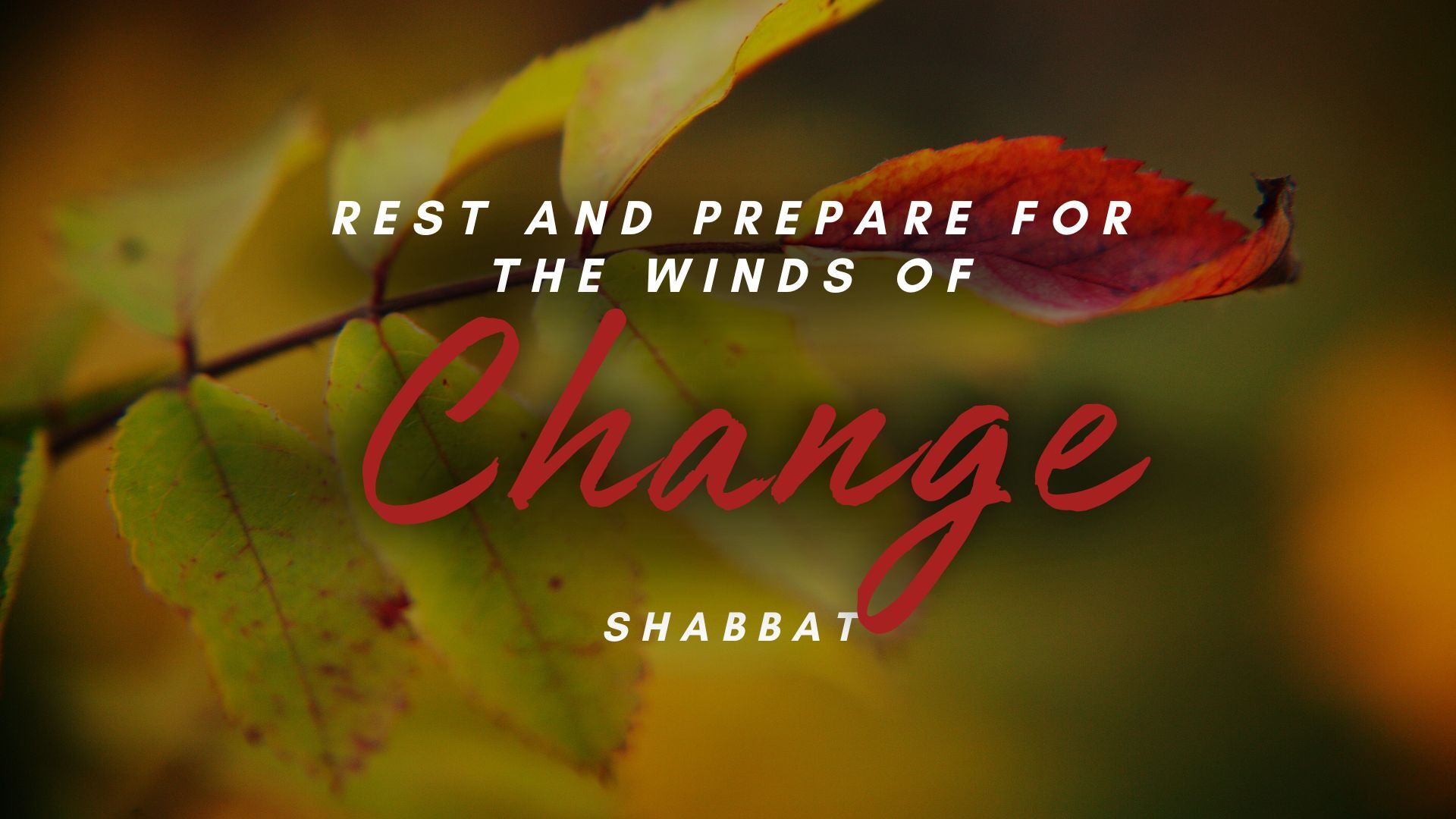 Shabbat: Rest and Prepare for the Winds of Change (1/26)
