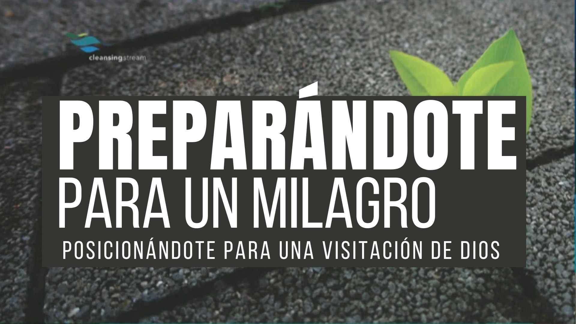 Preparándote para un Milagro - Chris Hayward (12/15)