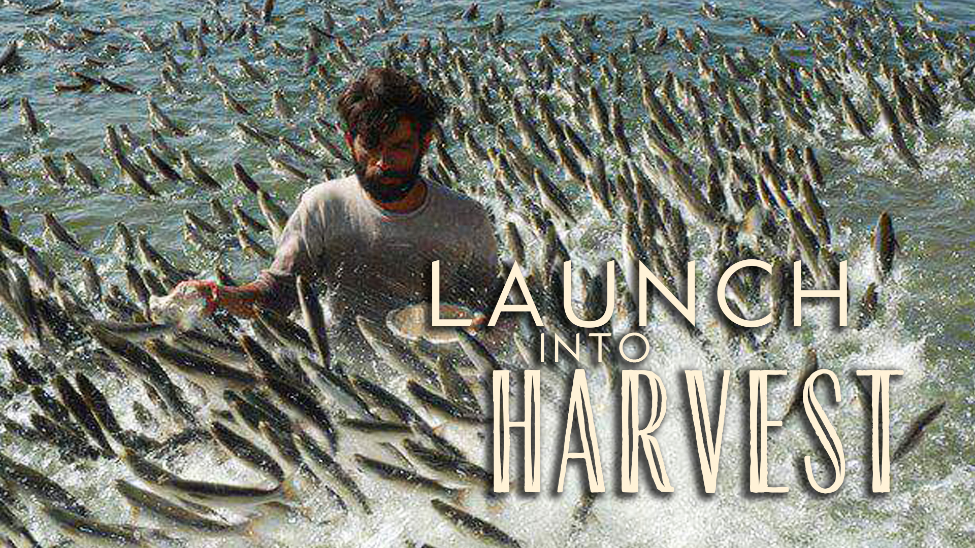 Launch into Harvest (4/22)