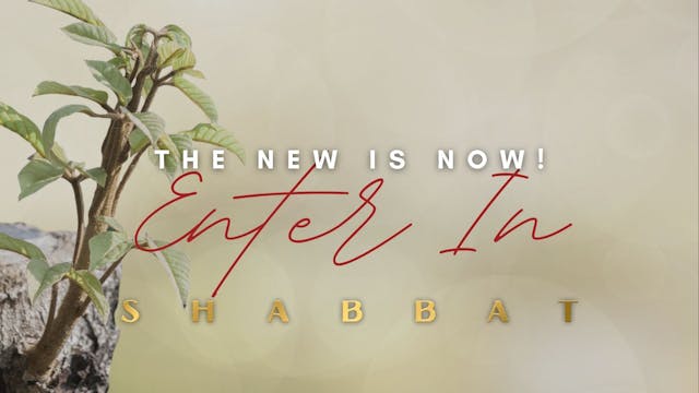 Shabbat: The New is Now Enter In (01/14)