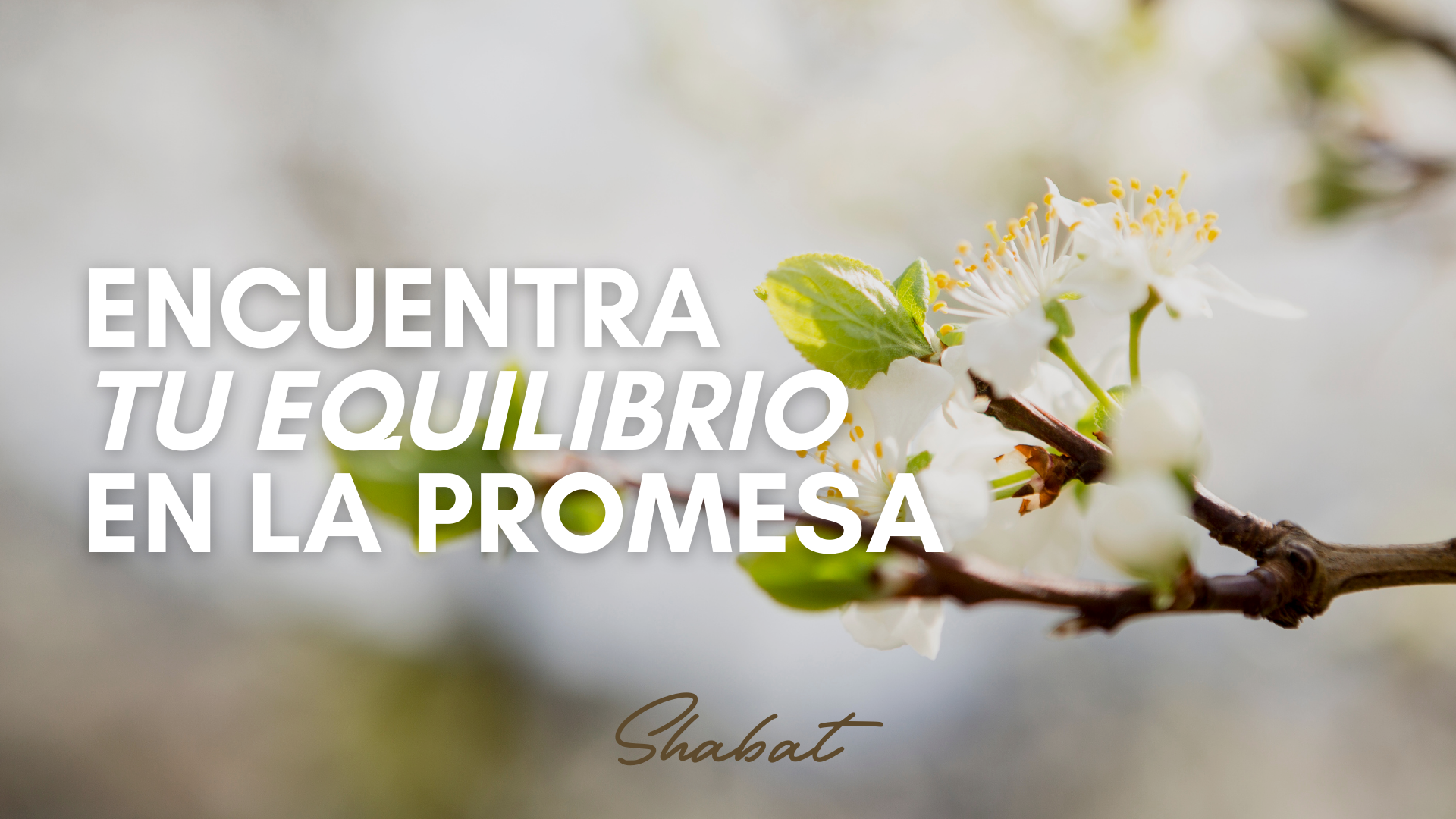 Shabbat: Encuentra Tu Equilibrio en la Promesa (5/23)