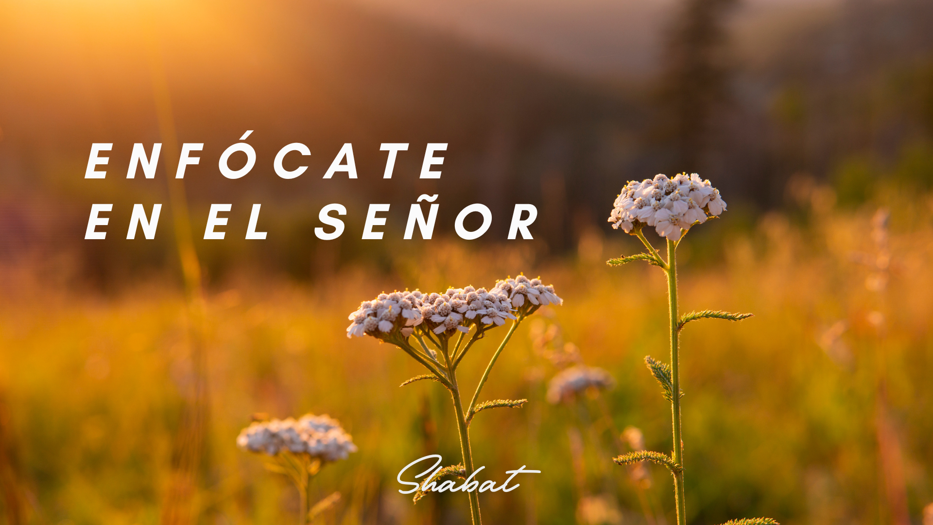 Shabbat: Enfócate en El Señor (8/01) 