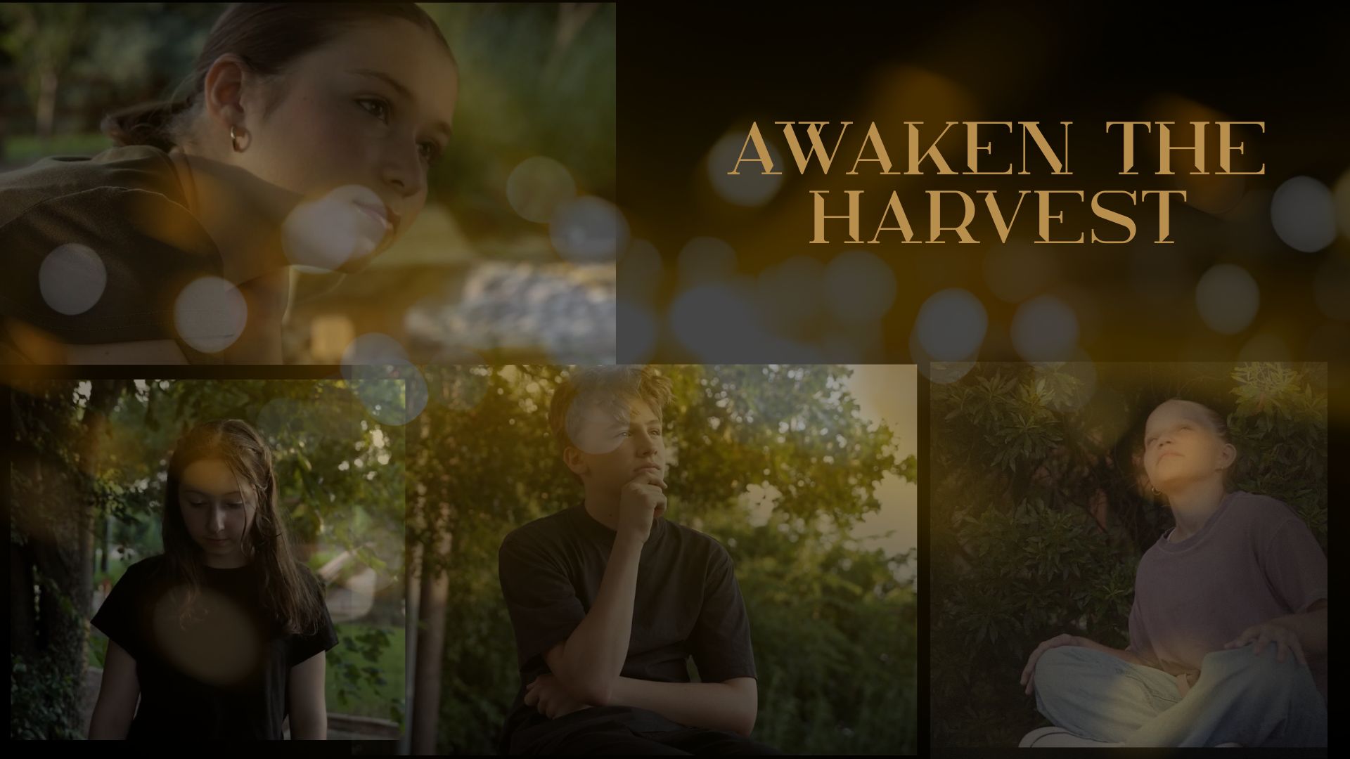 Awaken the Harvest