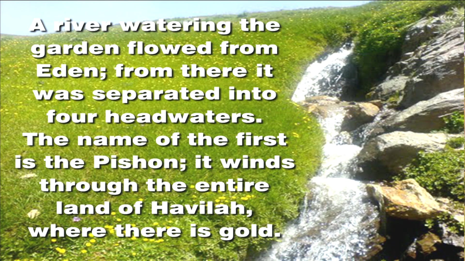 The Garden - The Battle Begins! - Robert Heidler