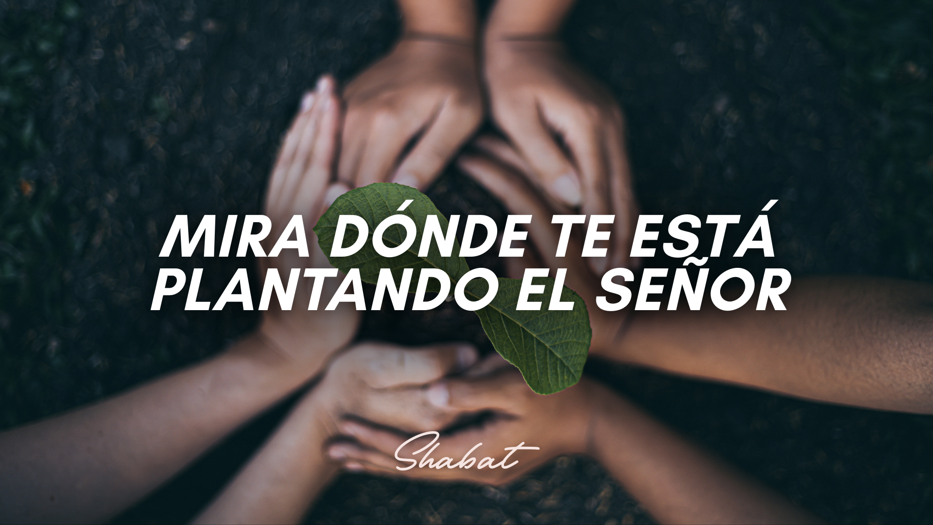 Shabbat: Mira Dónde Te Está Plantando El Señor (1/23/26)