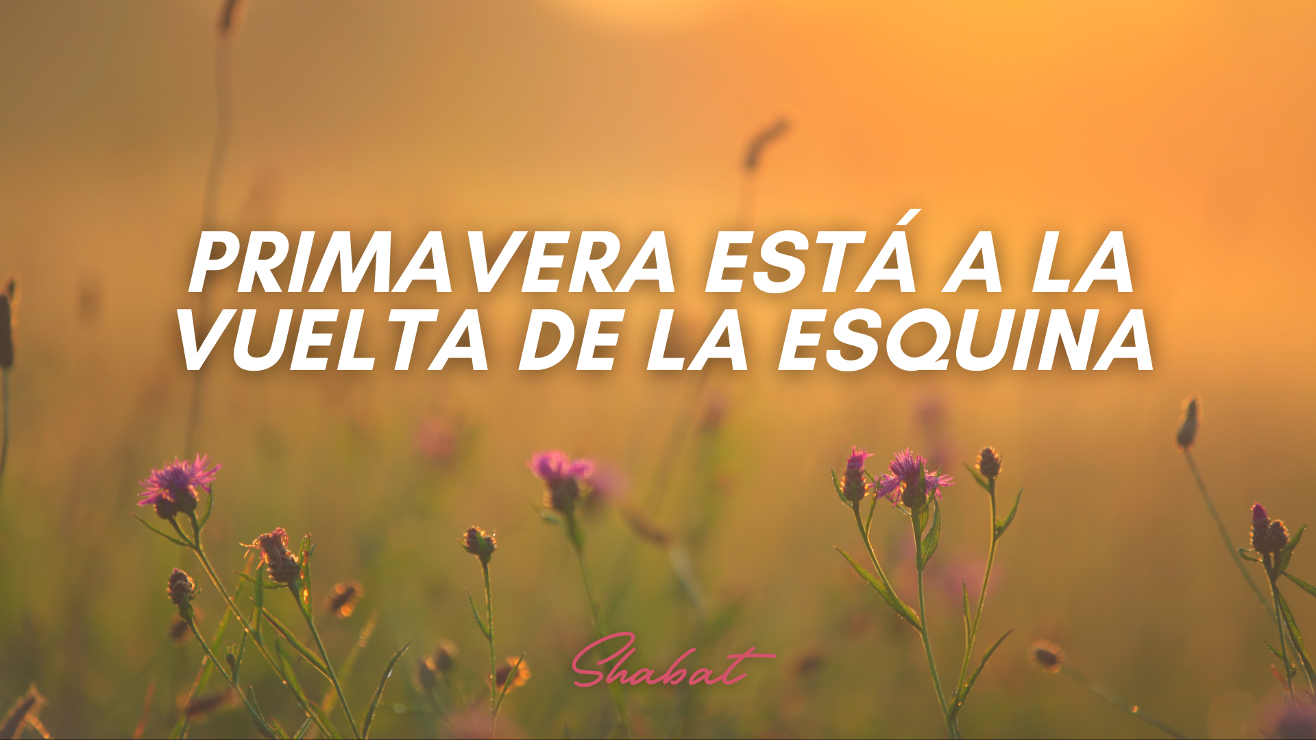 Shabbat: Primavera Está a la Vuelta de la Esquina (2/27/26)