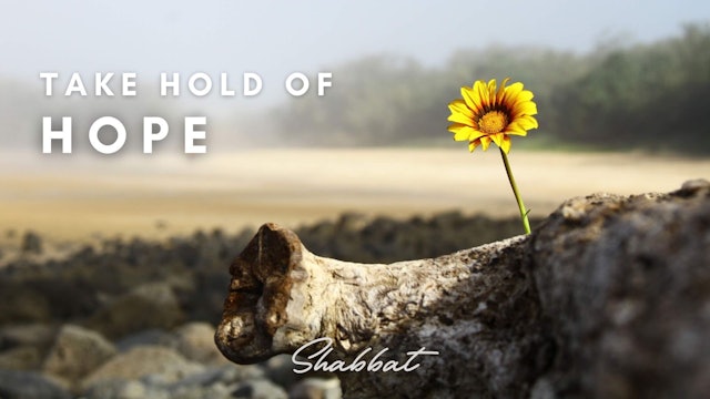 Shabbat: Take Hold of Hope (5/09)
