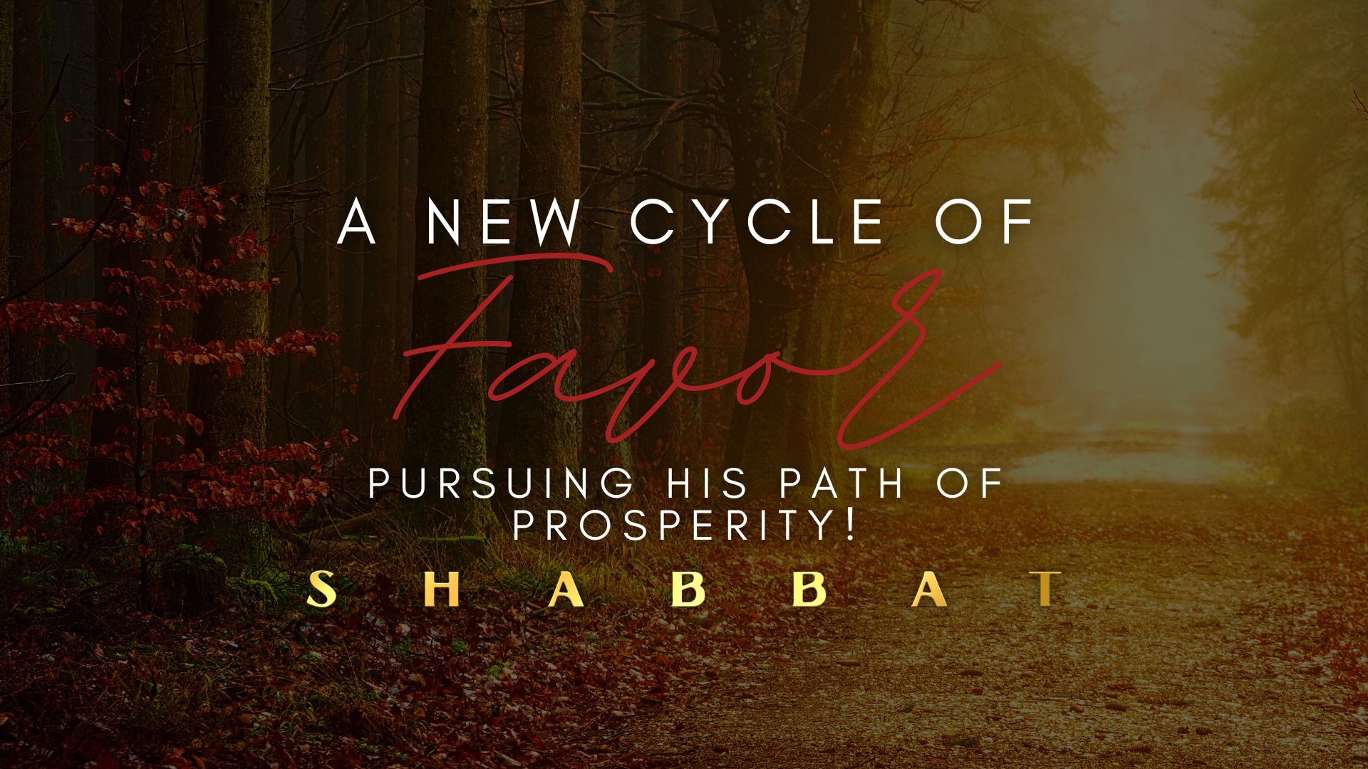 Shabbat: A New Cycle of Favor: Pursuing His Path of Prosperity (01/13)
