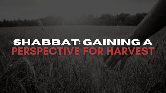 Shabbat: Gaining A Perspective For Ha...