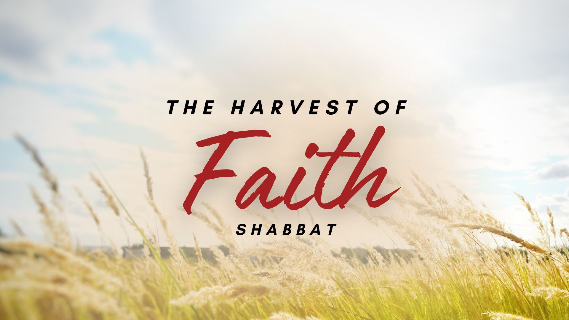 Shabbat: A Harvest of Faith (12/01) 6PM