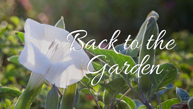 Back to the Garden