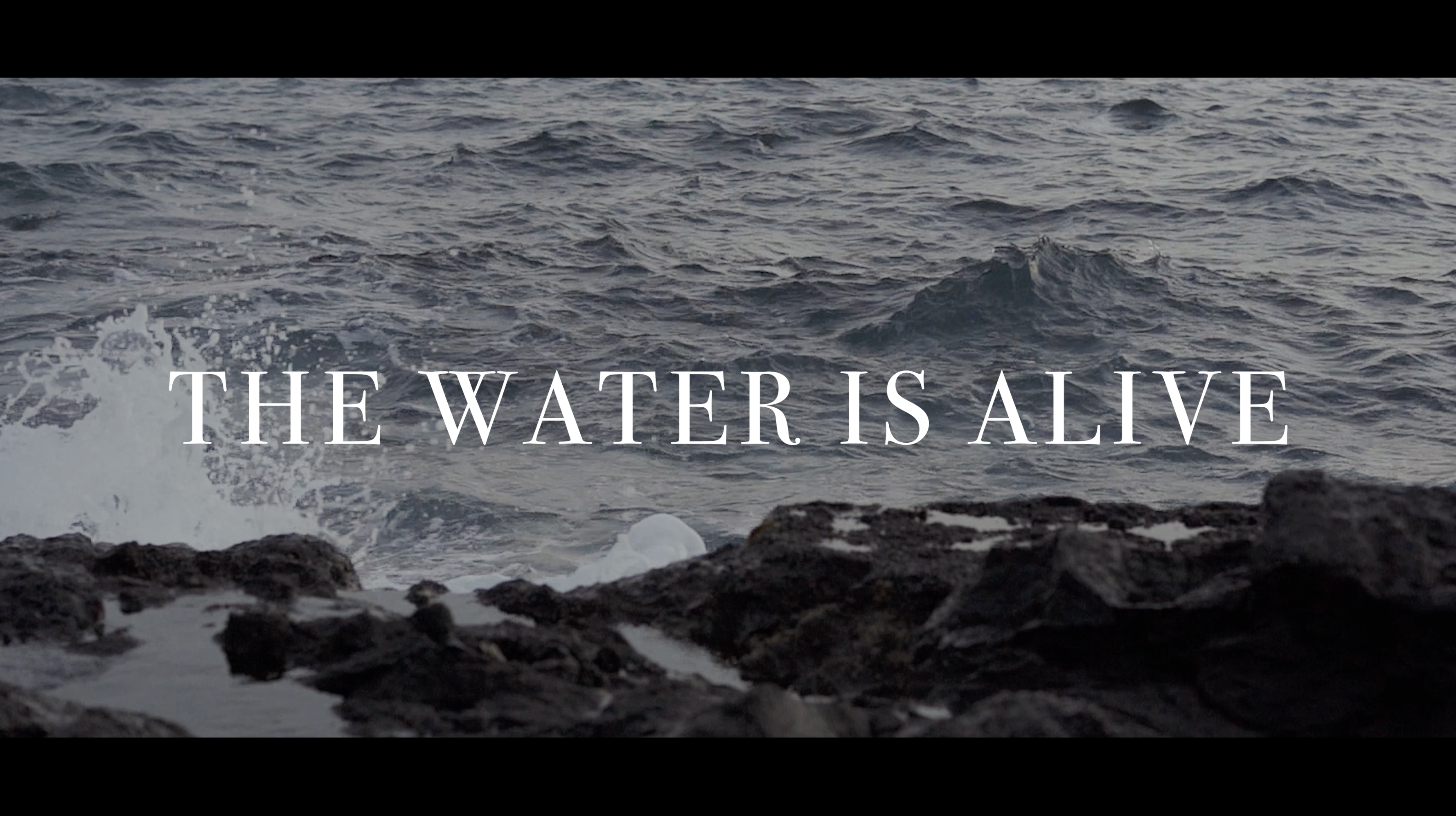 The Water is Alive (Featuring S&V)