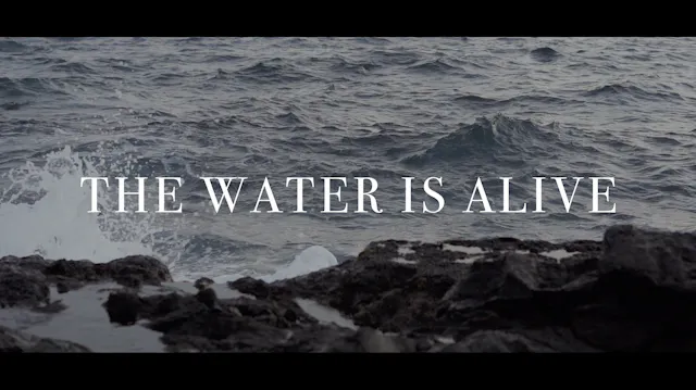 The Water is Alive (Featuring S&V)