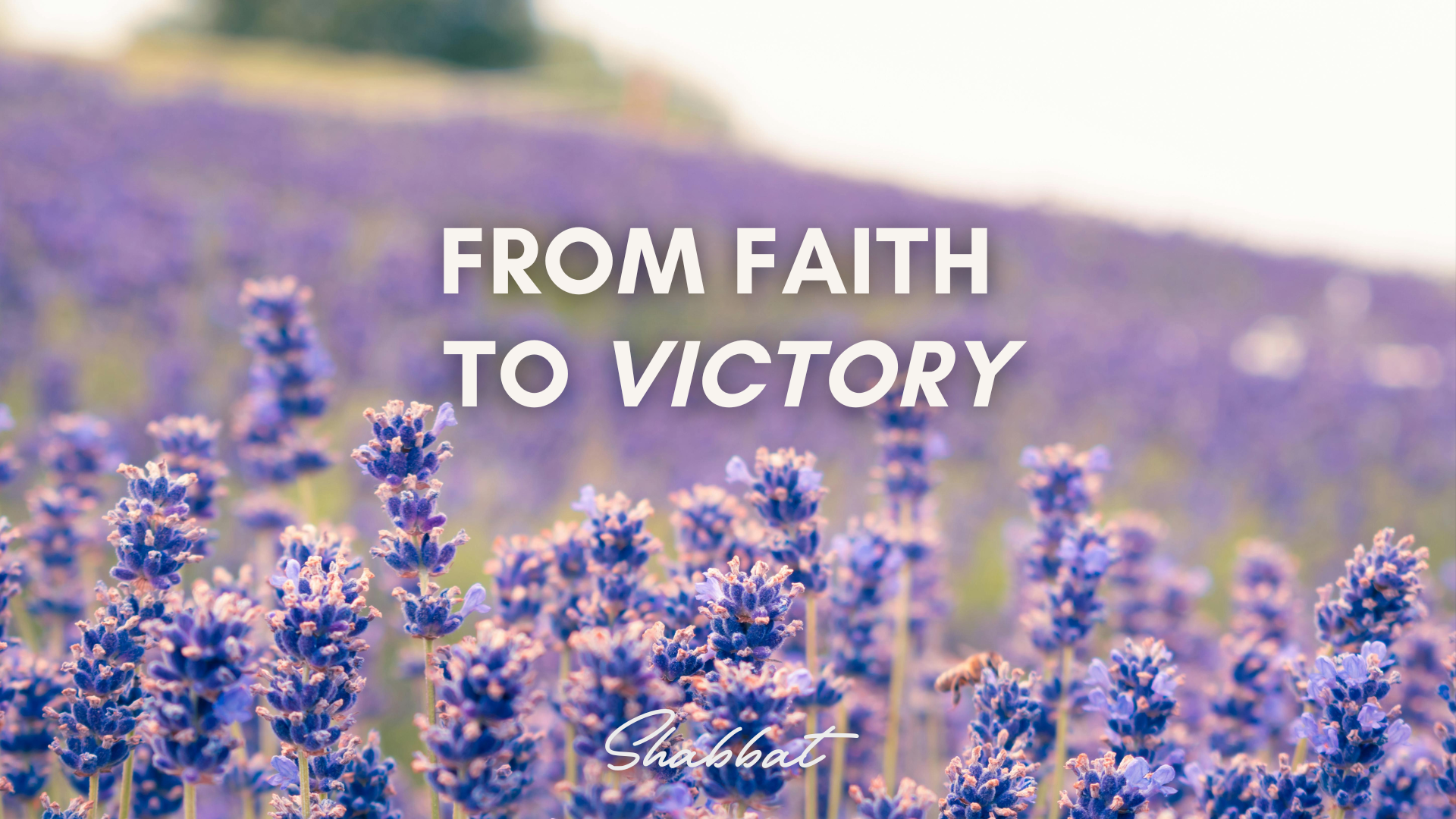 Shabbat: From Faith to Victory (8/08) 6PM