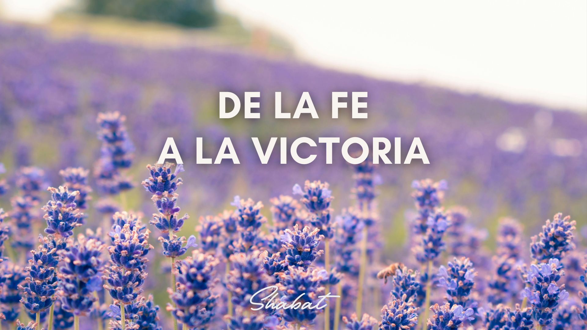 Shabbat: De La Fe A La Victoria (8/08) 6PM