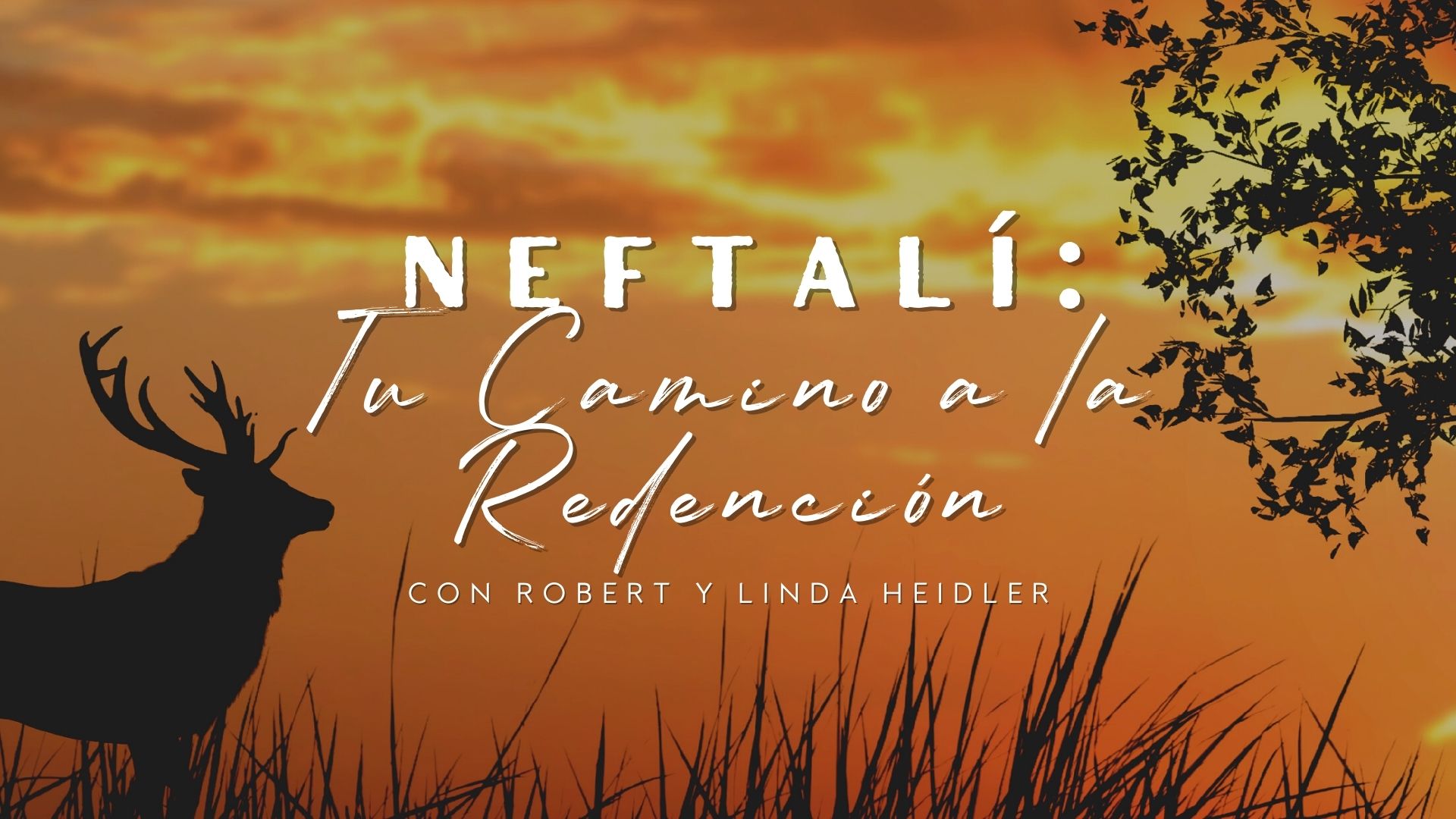 Nefatlí: Tu Camino a la Redención (02/02)