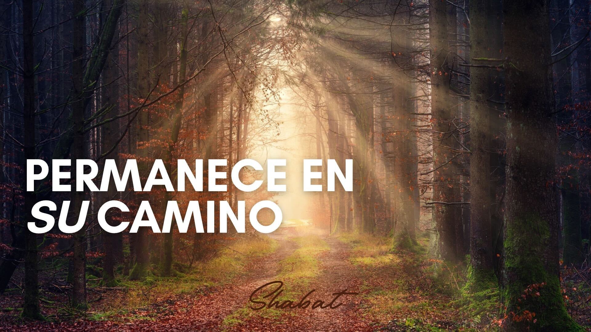 Shabbat: Permanece en Su Camino (5/16)