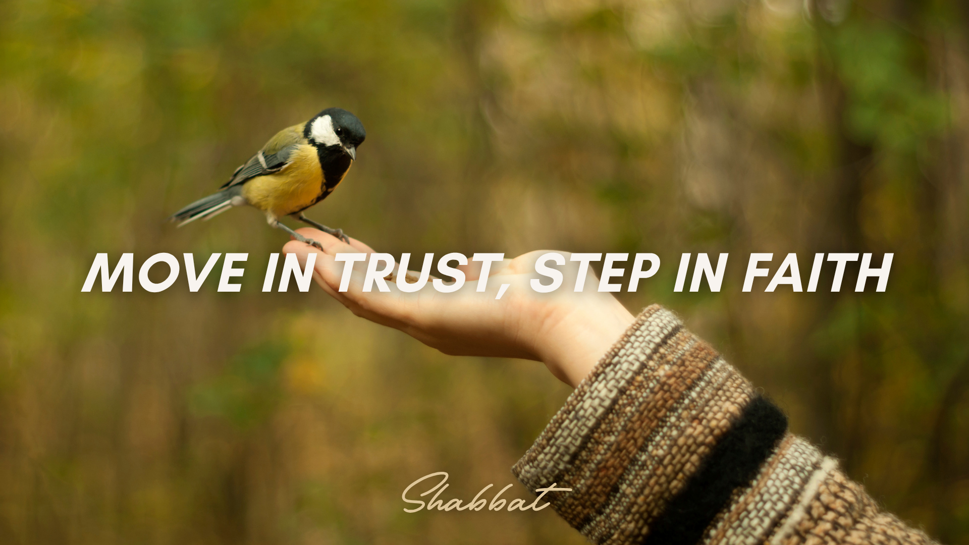 Shabbat: Move in Trust, Step in Faith (10/3)