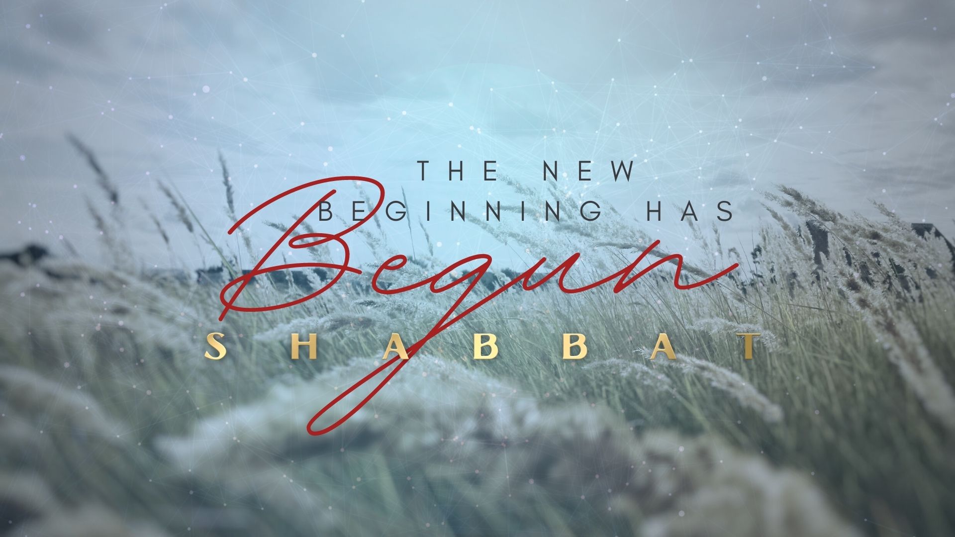 Shabbat: The New Beginning Had Begun (10/01)