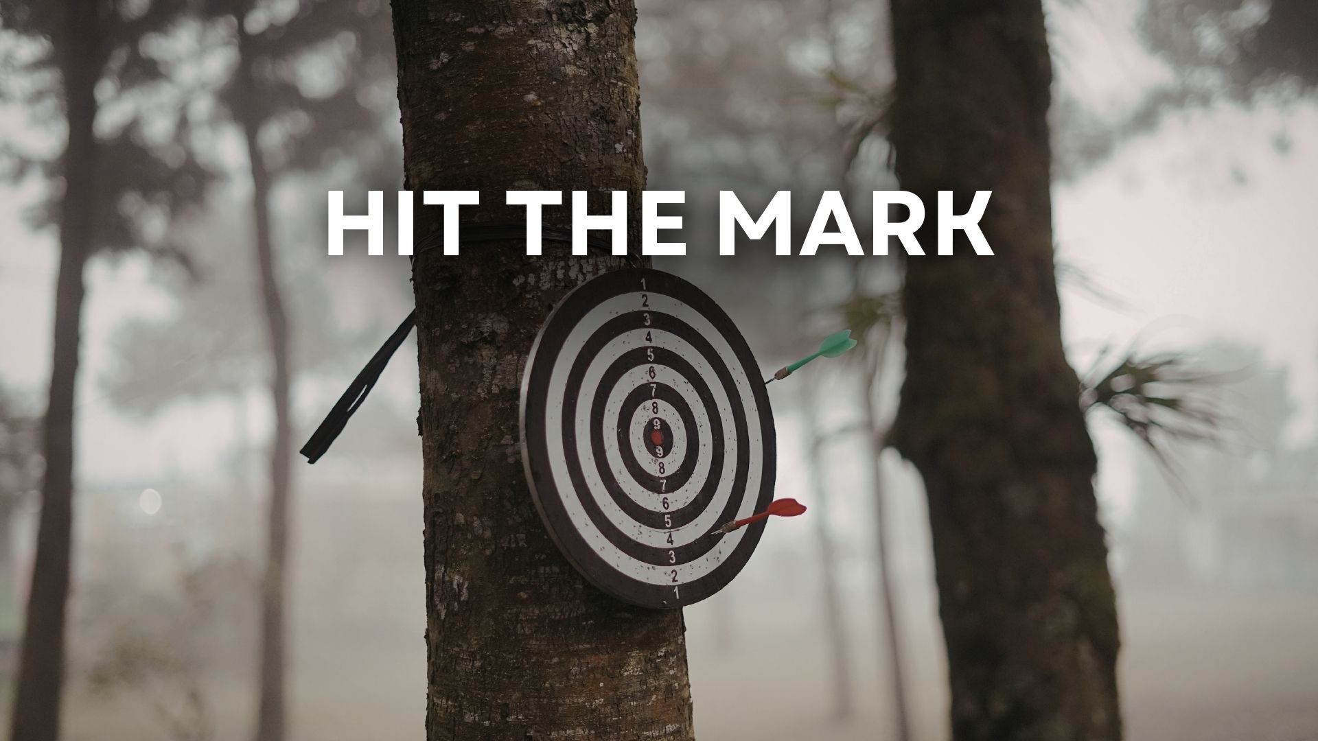 Hit the Mark (03/25/26)