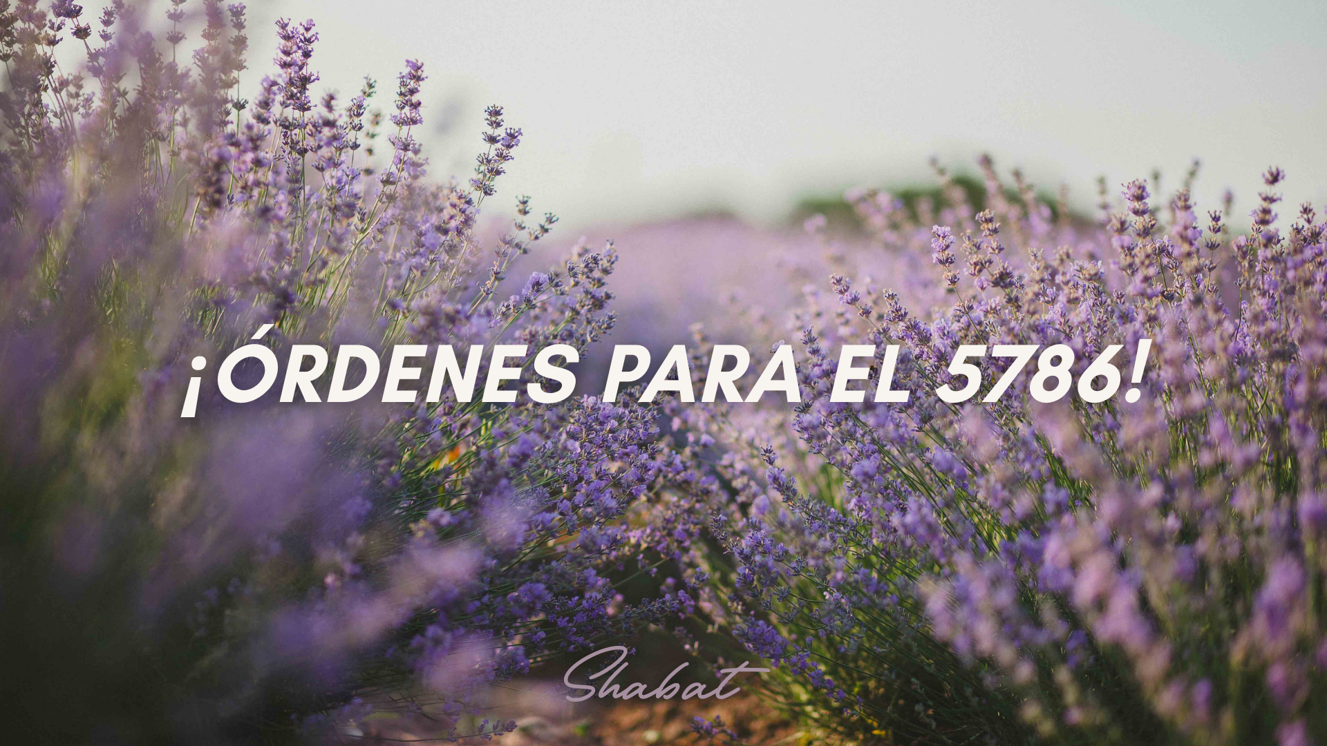 Shabbat: ¡Órdenes para el 5786¡ (9/19)