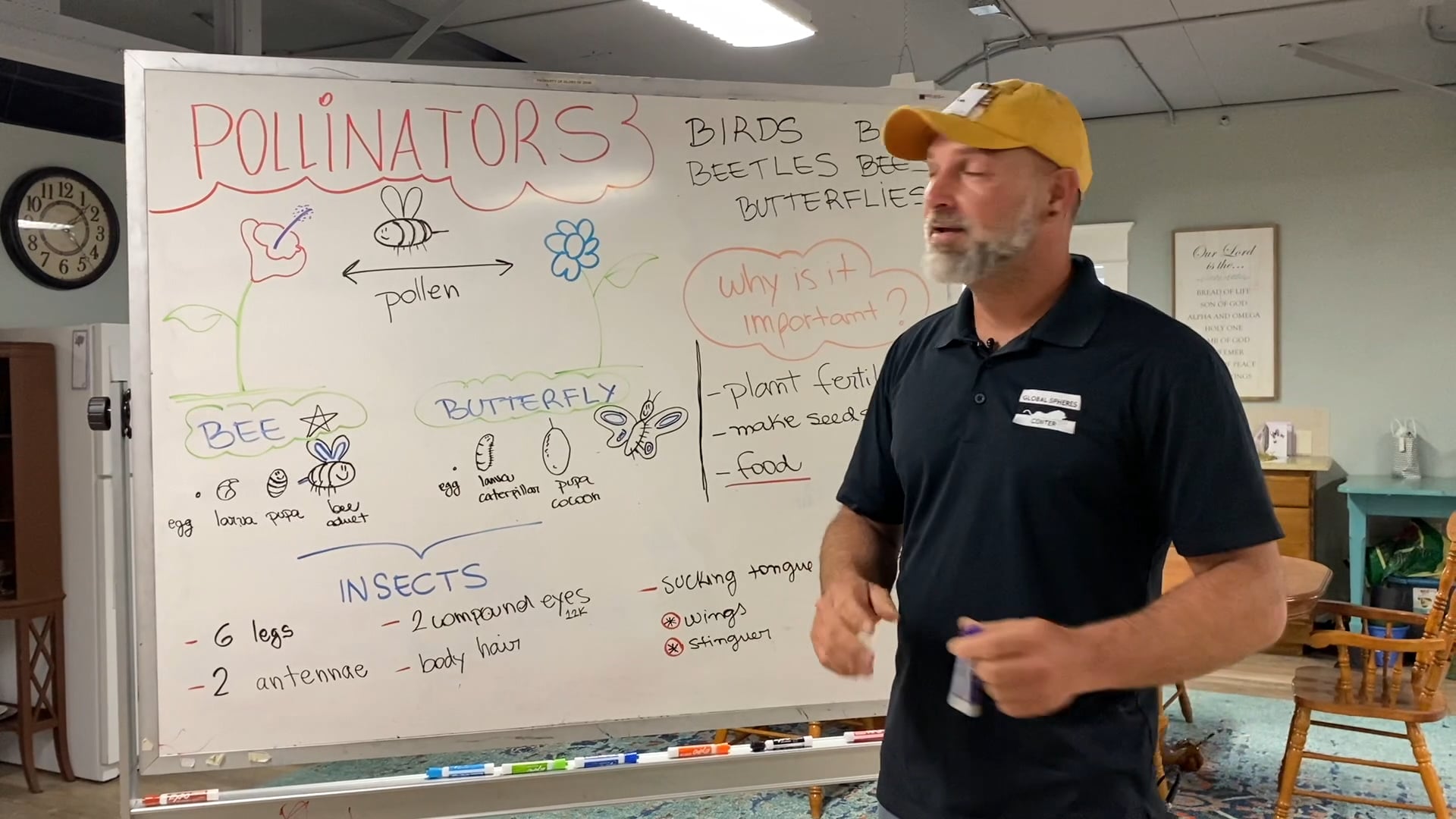 Global Gardeners - Pollinators