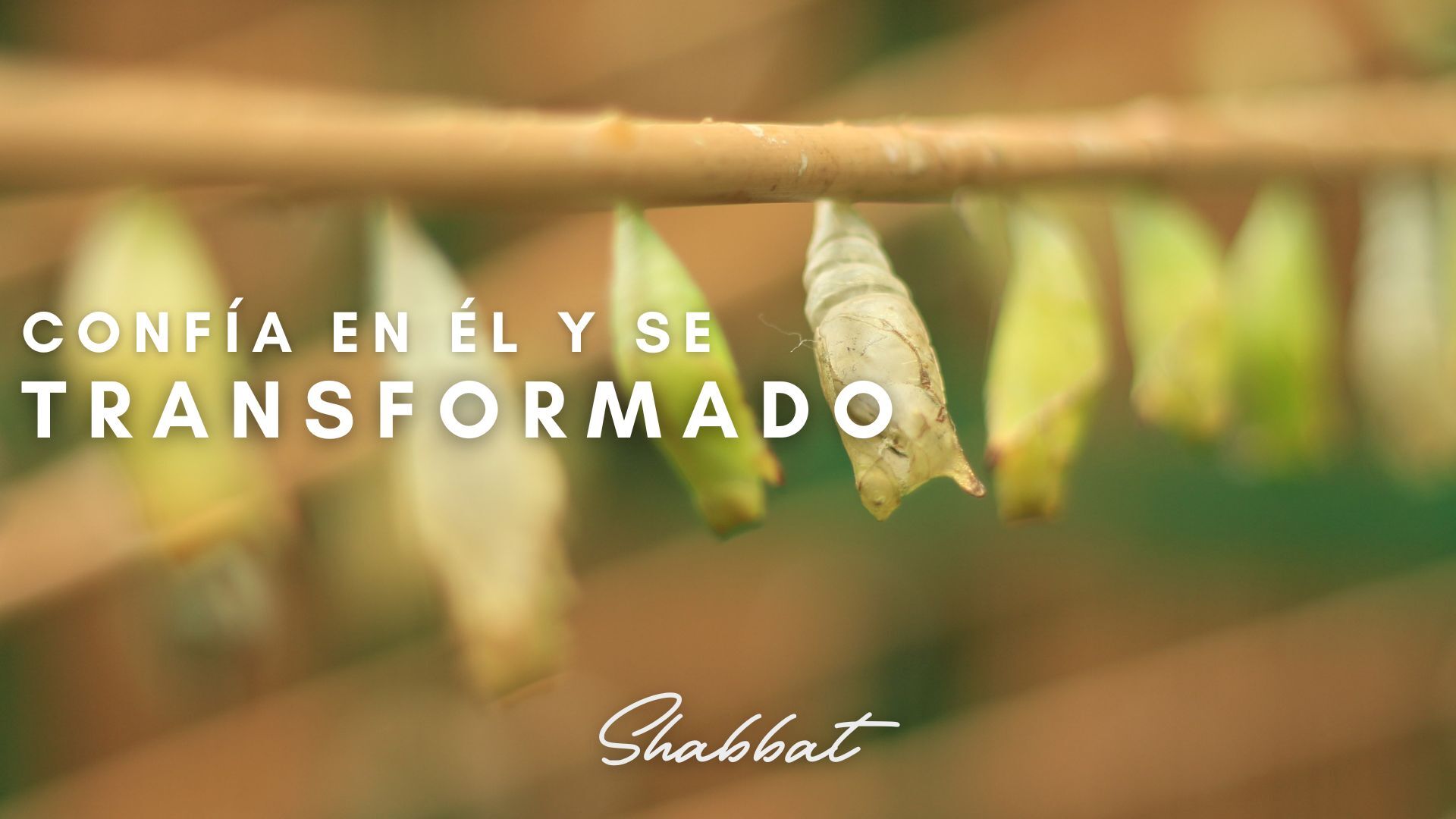 Shabbat: Confía en Él y se Transformado (3/21) 