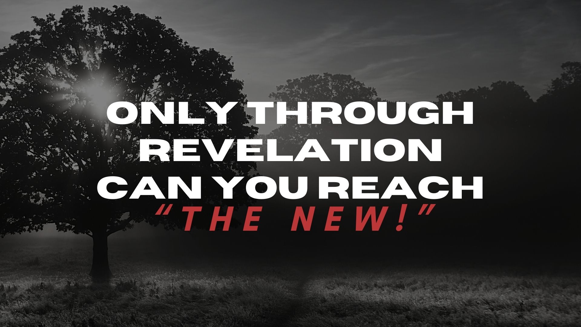 Through Revelation You Can Reach the New (11/06)