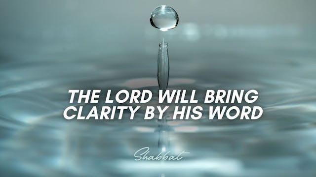 Shabbat: The Lord Will Bring Clarity ...