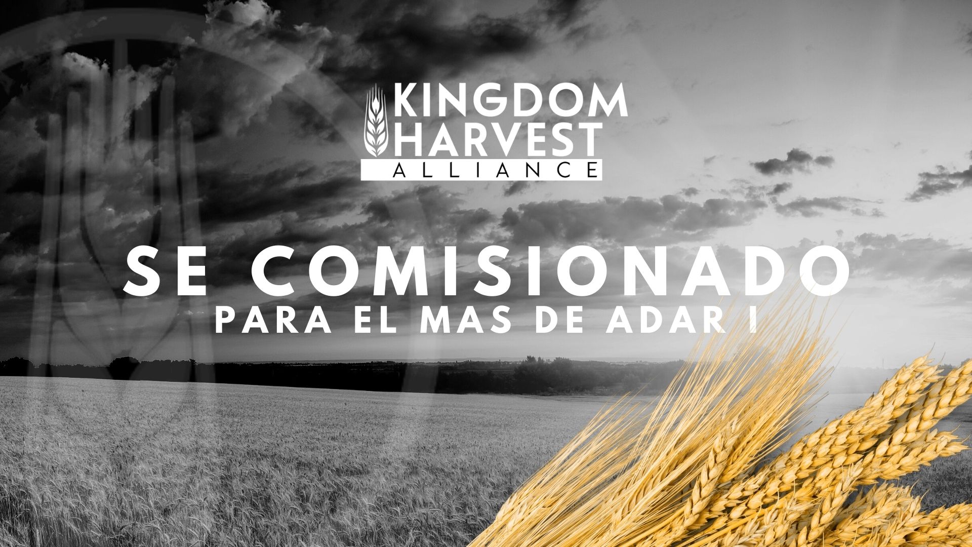 Sé Comisionado para el mas de Adar I (01/30)