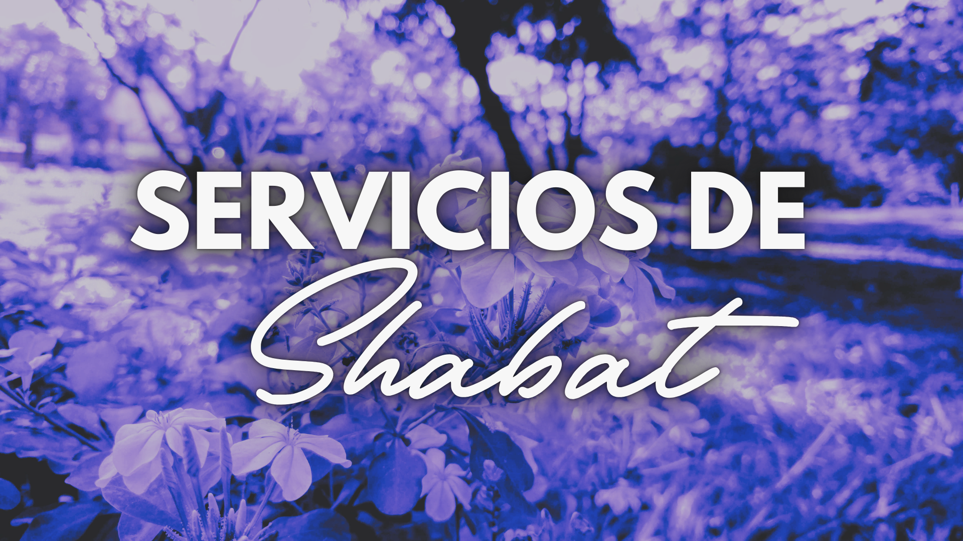 Servicios de Shabat