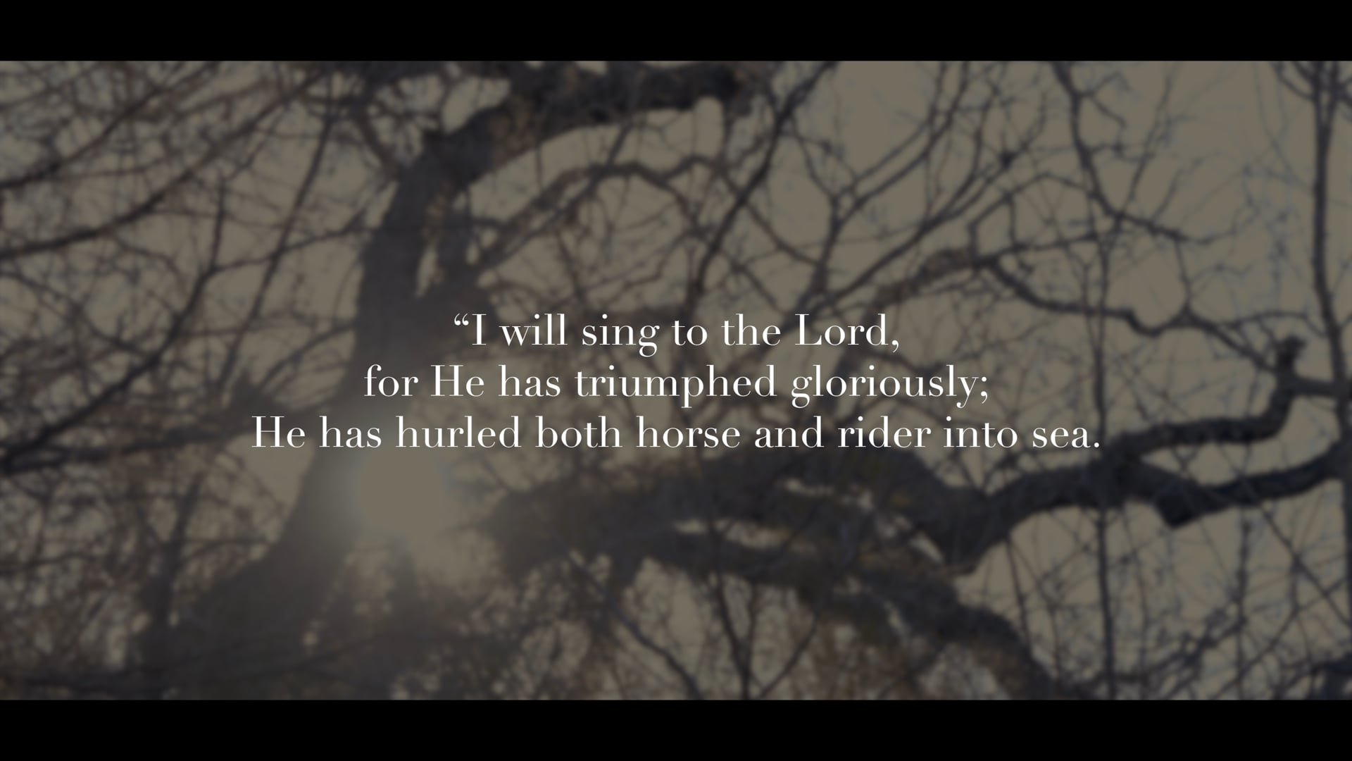 Evermore (Featuring Taupou)