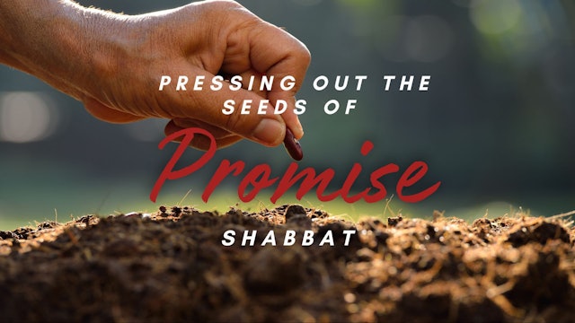Shabbat: Pressing Out the Seeds of Promise (3/22)