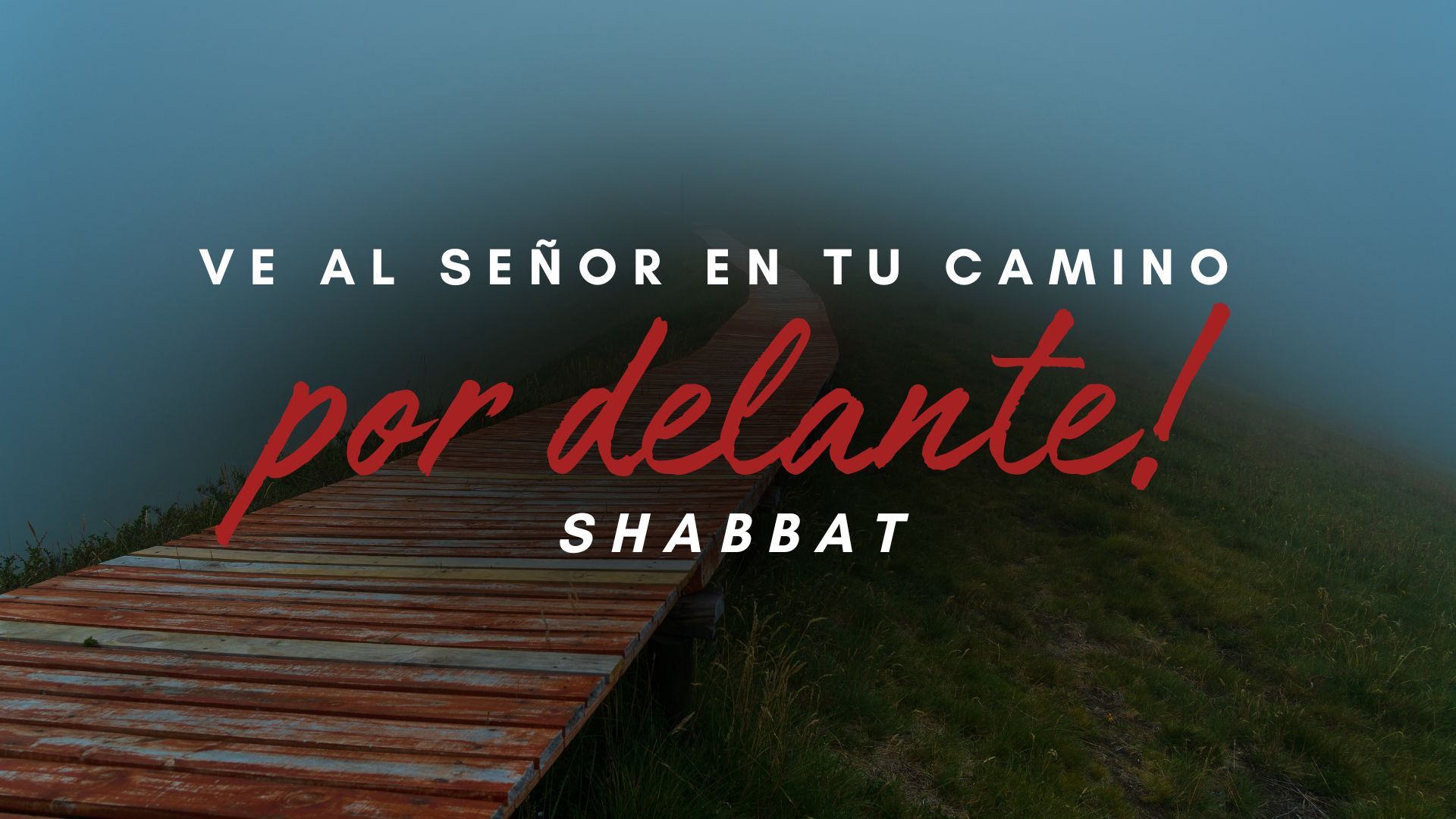 Shabat: ¡Ve al Señor en tu camino por delante! (11/08)