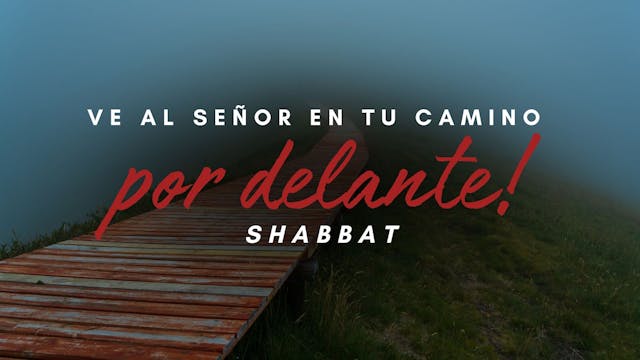 Shabat: ¡Ve al Señor en tu camino por...