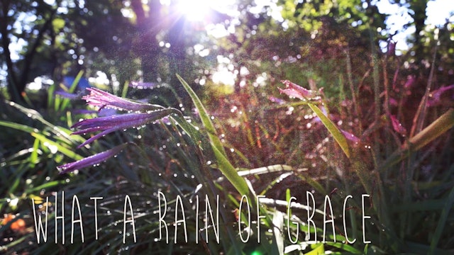 Rain of Grace