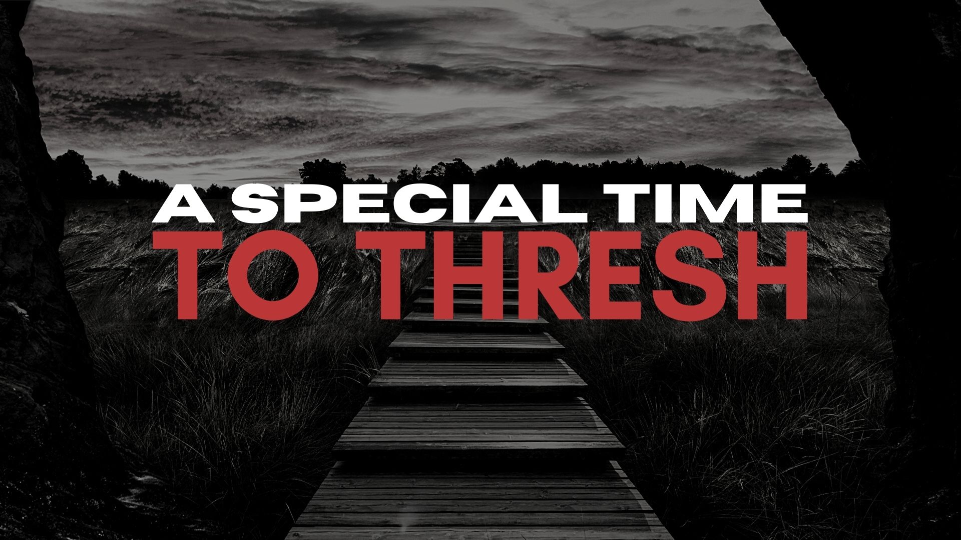 A Special Time To Thresh (04/02)