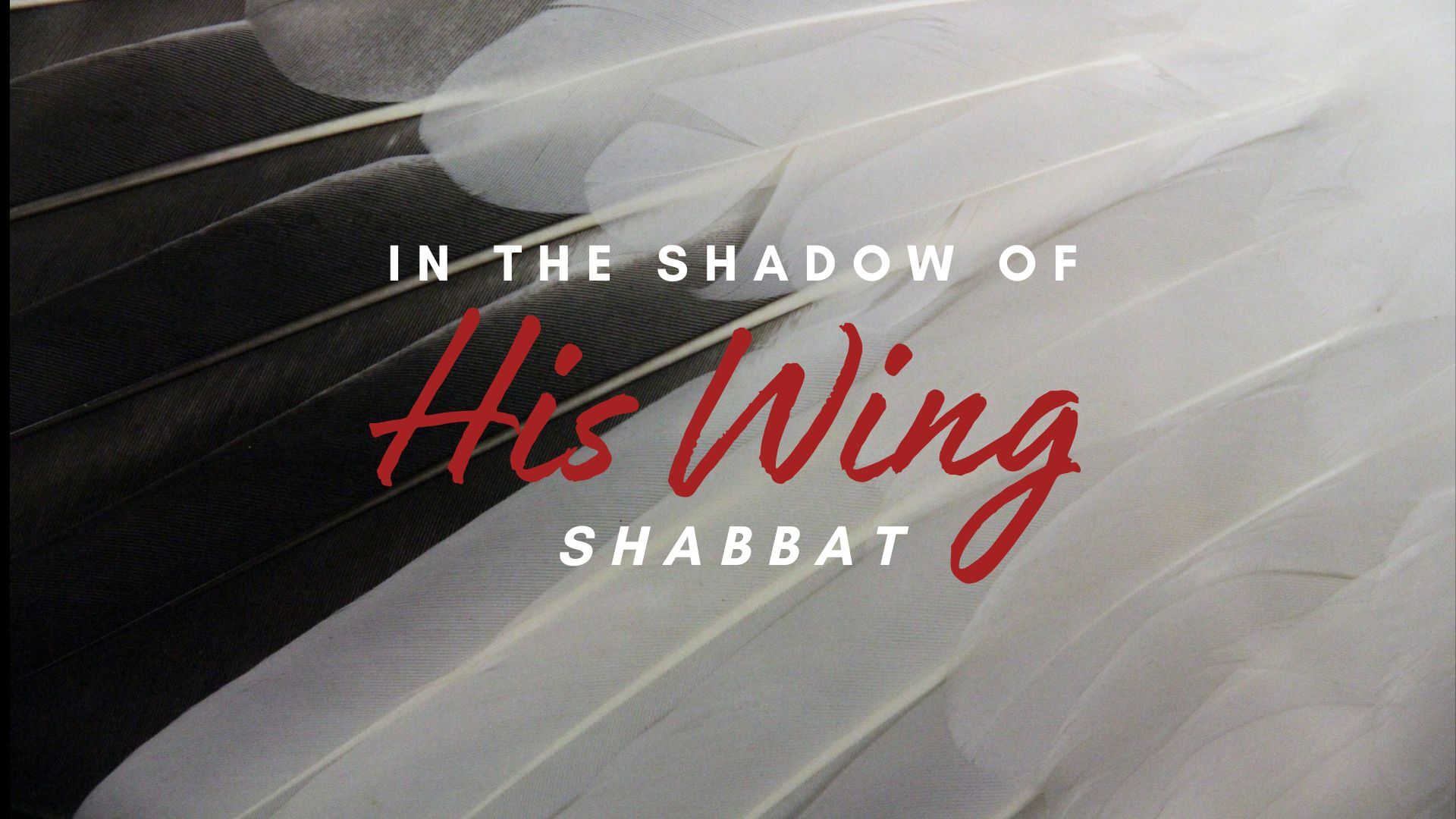 Shabbat: In the Shadow of His WIng (11/15)