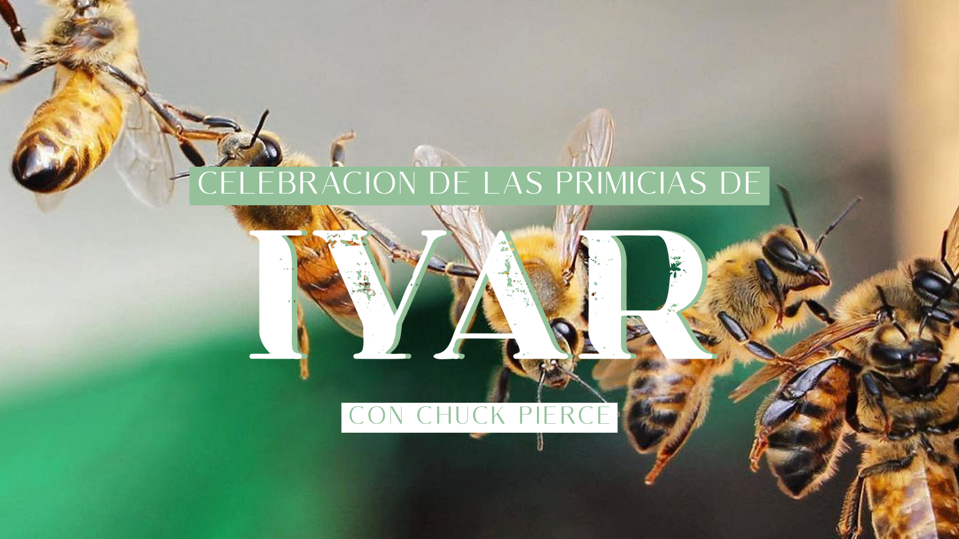 Servicio De Celebración Dominical (04/19/26) 9AM