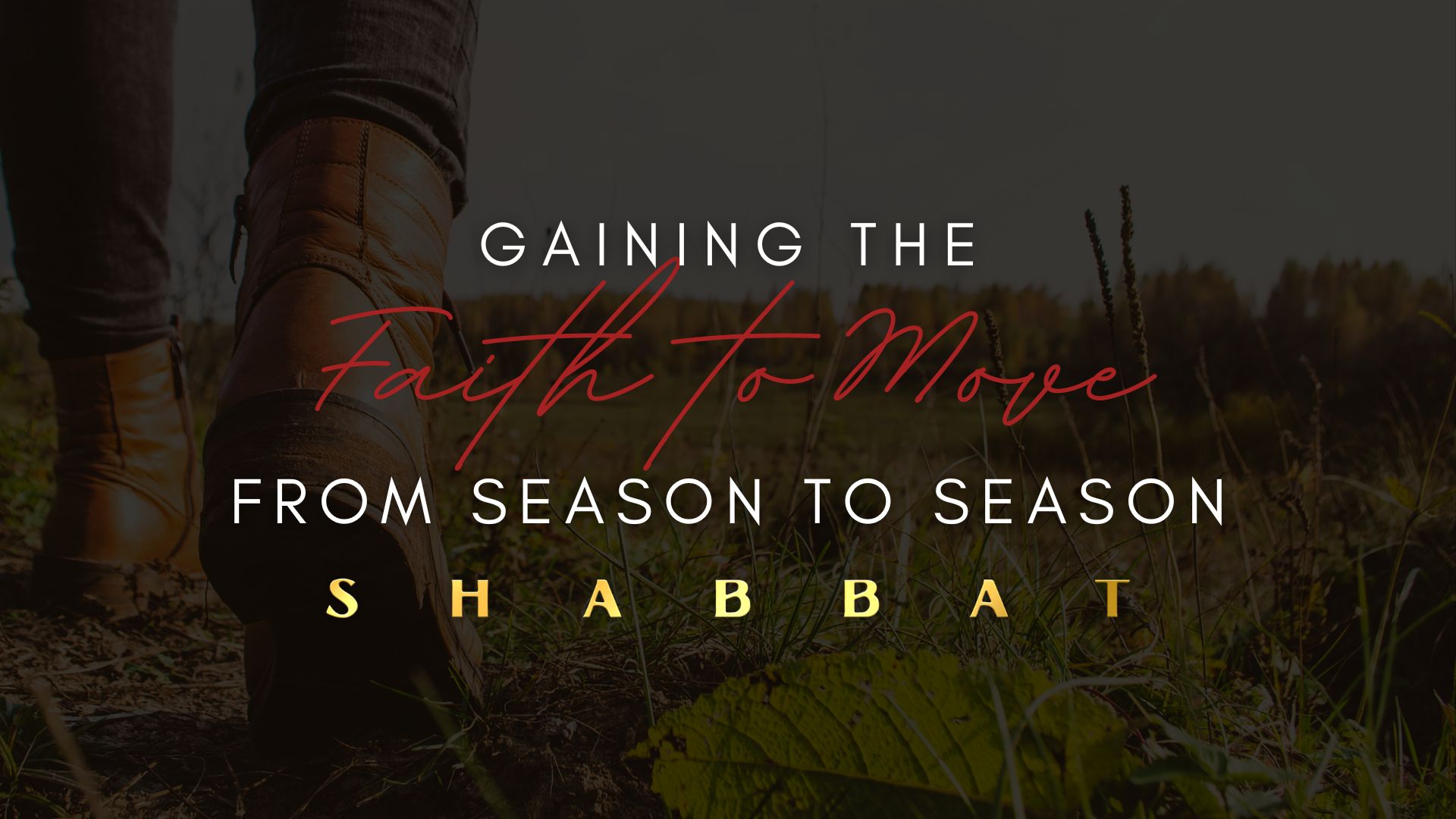 Shabbat: Gaining the Faith to Move from Season to Season (12/9)