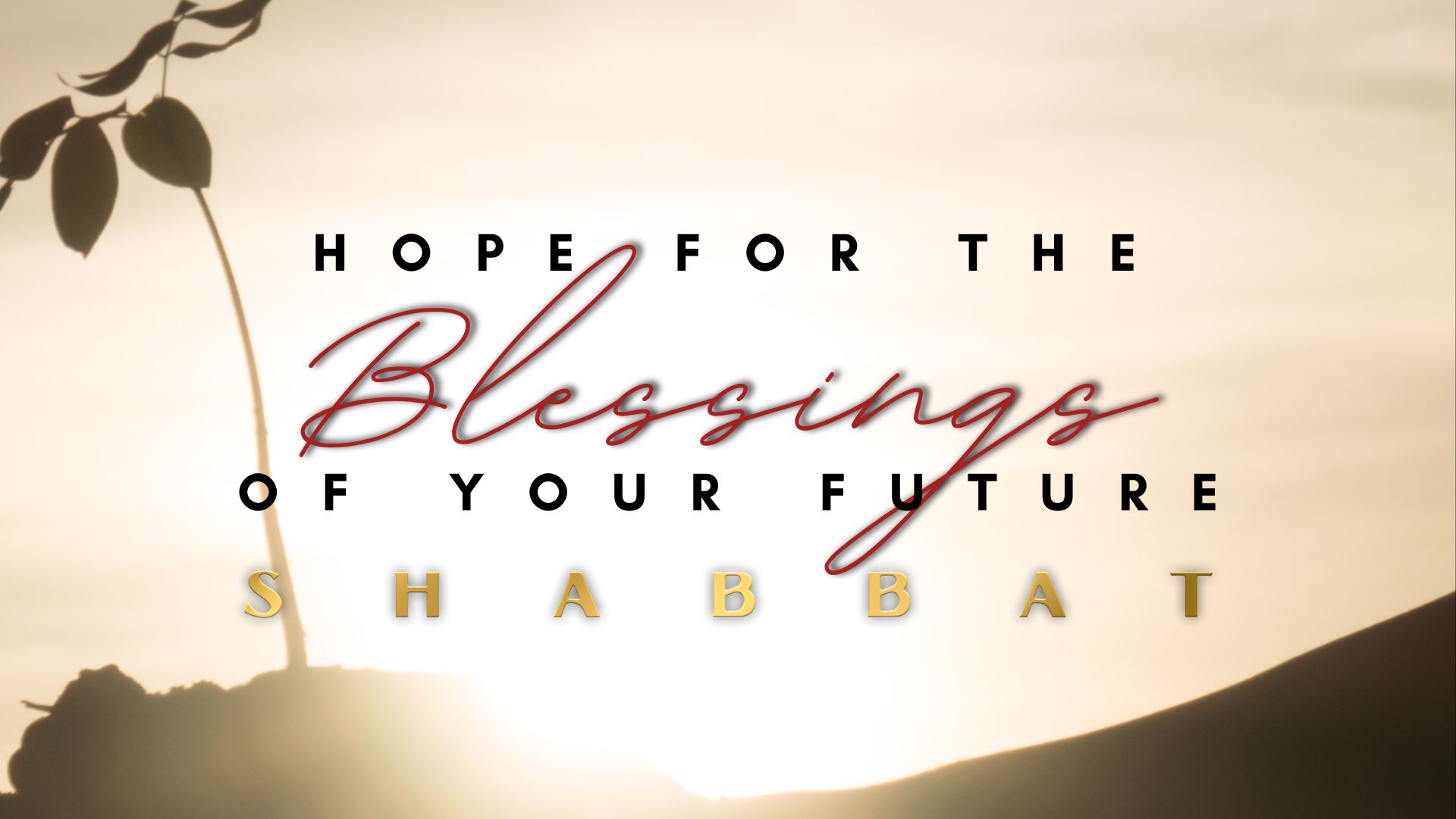 Shabbat: Hope for the Blessings of Your Future (6/10)