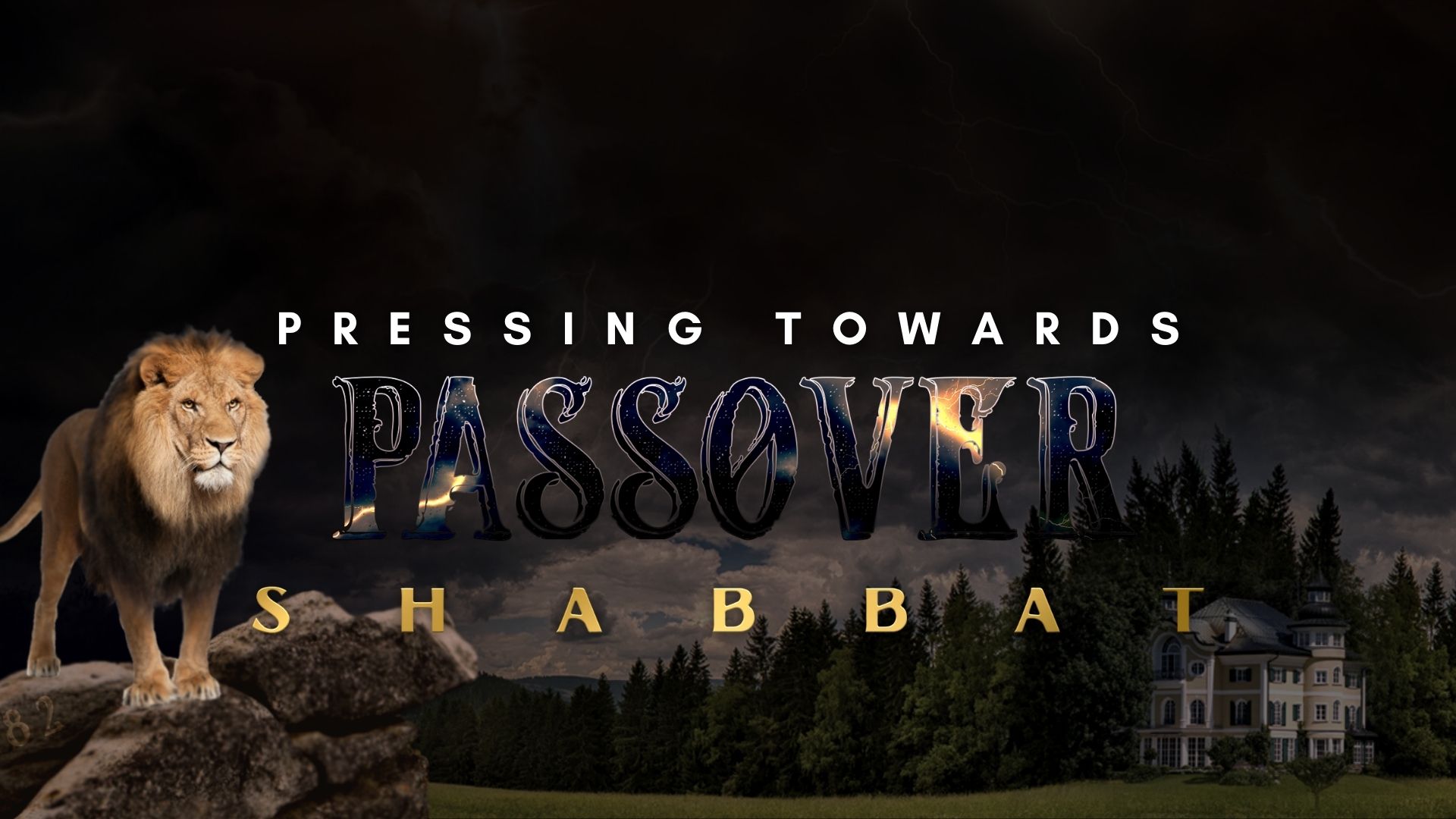 Shabbat: Pressing Towards Passover (04/08)