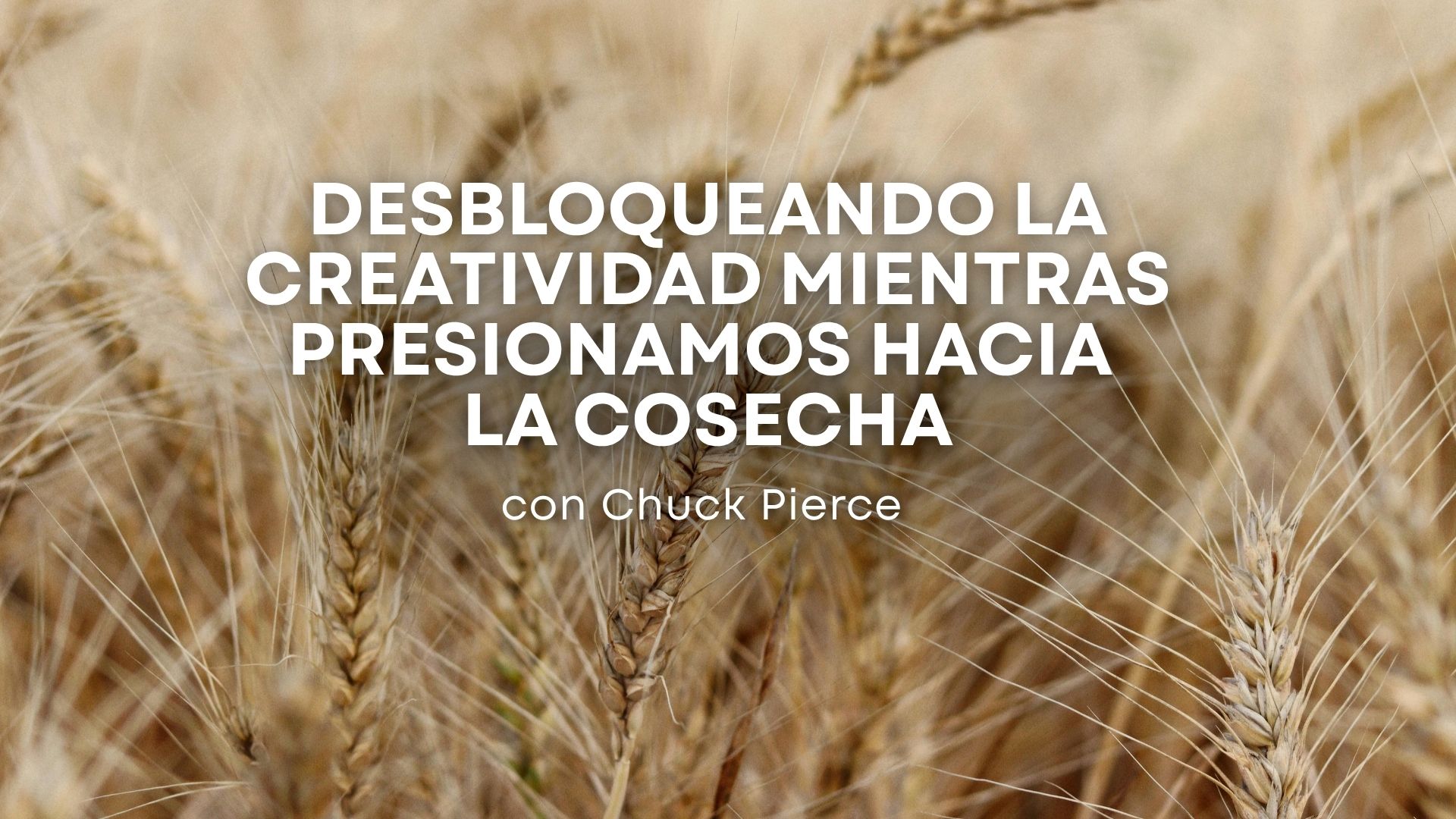 Desbloqueando la creatividad mientras presionamos hacia la cosecha (06/30/26)